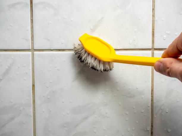Best Mold Remediation  in Ware Shoals, SC