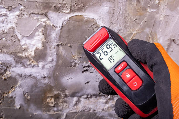 Best Mold Removal and Inspection  in Ware Shoals, SC